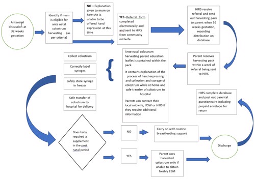 A process flowchart on when to harvest colostrum